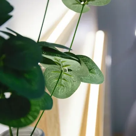 Hotel Zur Alten Boerse 3*